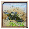 8718229026450 - PUZZLE LA VIE DE LA TORTUE