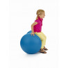  - ROLI ROND BLEU