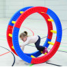 4027608676266 - ROUE GÉANTE