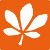 3471052250700 - 6 POCHOIRS AUTOMNE