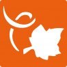 3471052250700 - 6 POCHOIRS AUTOMNE