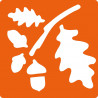3471052250700 - 6 POCHOIRS AUTOMNE
