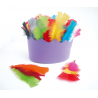 3701385301504 - PLUMES COLORIS ASSORTIS 25G