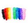 3701385301504 - PLUMES COLORIS ASSORTIS 25G