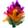 3532434601159 - PLUMES AUTOMNE COLORIS ASSORTIS 25G