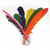 3701385300972 - 12 PLUMES INDIEN 27-30CM COLORIS ASSORTIS