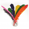 3701385300972 - 12 PLUMES INDIEN 27-30CM COLORIS ASSORTIS