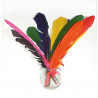 3701385300972 - 12 PLUMES INDIEN 27-30CM COLORIS ASSORTIS