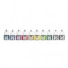 3167864174050 - COLOREX 10 FLACONS 45ML ASSORTIS