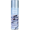 5410764216565 - PEINTURE METALLISEE AEROSOL 150ML ARGENT