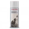 646217502434 - CONTE FIXATIF AEROSOL 400ML