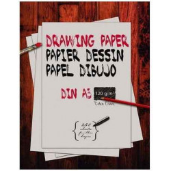 1 RAMETTE 250F PAPIER...