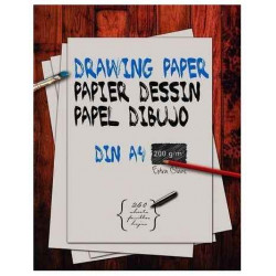 1 RAMETTE 250F PAPIER...