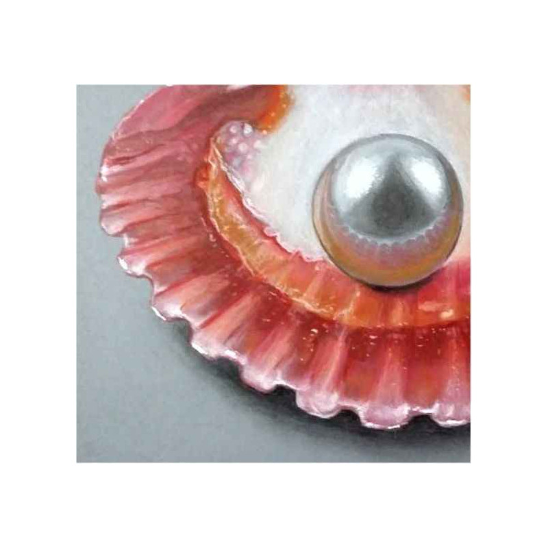 3760002572581 - ENCRE ? DESSINER NACR?E 6 FLACONS COLORIS COMPL?MENTAIRES