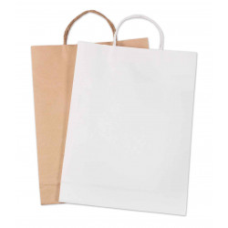1 SAC KRAFT 24X31CM BLANC