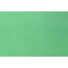 816266010819 - 1 ROULEAU SMARTFAB VERT