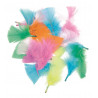 8410782132813 - PLUMES DUVET TAILLES ET COLORIS ASSORTIS 14G