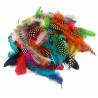 3900007812002 - PLUMES FAISAN COLORIS ASSORTIS 10G