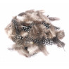 3900007822001 - PLUMES DE FAISAN COLORIS NATUREL 10G