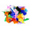 3701385302143 - 1000 PLUMES FORMES,TAILLES ET COLORIS ASSORTIS