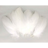 3701385302143 - 1000 PLUMES FORMES,TAILLES ET COLORIS ASSORTIS