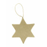 3609510130251 - SUSPENSION ÉTOILE PLATE CARTON