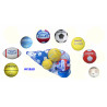 3420210142104 - LOT DE 8 BALLONS ENTRAINEMENT ASSORTIS