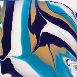 3532437004704 - 10F M?TAL ? REPOUSSER 300X160MM ARGENT