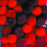 3532434400165 - 45 POMPONS ROUGES 15MM