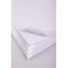 3210330330174 - 25F BRISTOL 5X5 BLANC 205G 50X65CM