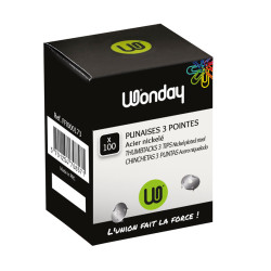 3701254708571 - 100 PUNAISES 3 POINTES