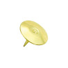 3701254705259 - 100 PUNAISES LAITON