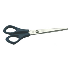 8425901016011 - CISEAUX TOUS USAGES BOUTS POINTUS 17CM 1ER PRIX