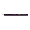 4007817119419 - NORIS JUMBO 119 HB 12 CRAYONS GRAPHITE