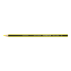 4007817185407 - NORIS COLOUR 185 12 CRAYONS COULEURS JAUNE