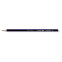 4007817018897 - NORIS COLOUR 185 12 CRAYONS COULEURS VIOLET