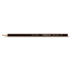 4007817018903 - NORIS COLOUR 185 12 CRAYONS COULEURS MARRON