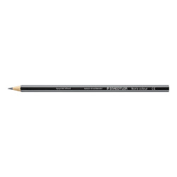 4007817018910 - NORIS COLOUR 185 12 CRAYONS COULEURS GRIS