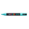 4902778198032 - POSCA PC-5M MARQUEUR VERT D'EAU