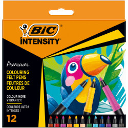 3086123655140 - INTENSITY 12 FEUTRES DESSIN COLORIS ASSORTIS