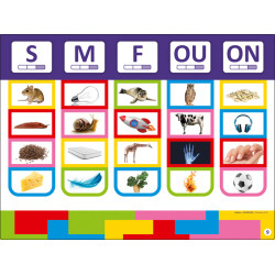 3133099115861 - COLORCODE - PHONEMES 2