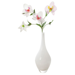 4001868018936 - 10F PAPIER TRANSPARENT BLANC A4