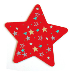 3760002574974 - 10 ETOILES BOIS A SUSPENDRE 129X123MM