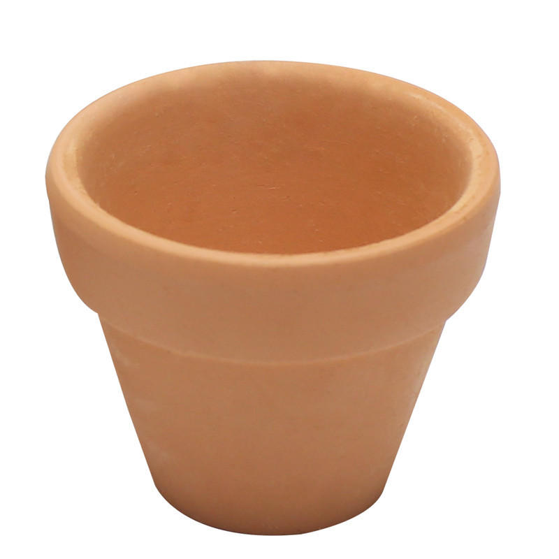 3700773321568 - 10 MINI-POTS ARGILE Ø 4,5CM