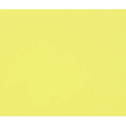 3329689601719 - 1F PAPIER DESSIN BOUTON D'OR 50X65CM 160G