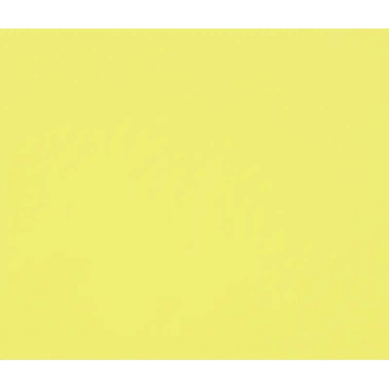 3329689601719 - 1F PAPIER DESSIN BOUTON D'OR 50X65CM 160G