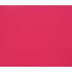 3329689601740 - 1F PAPIER DESSIN COQUELICOT 50X65CM 160G