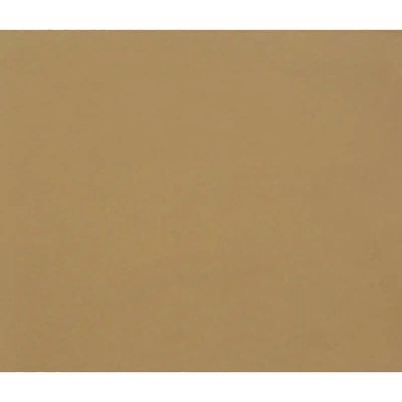 3329689601771 - 1F PAPIER DESSIN MARRON 50X65CM 160G