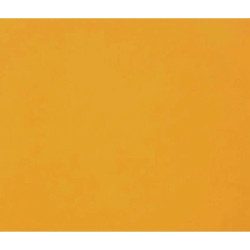 3329689601733 - 1F PAPIER DESSIN ORANGE 50X65CM 160G