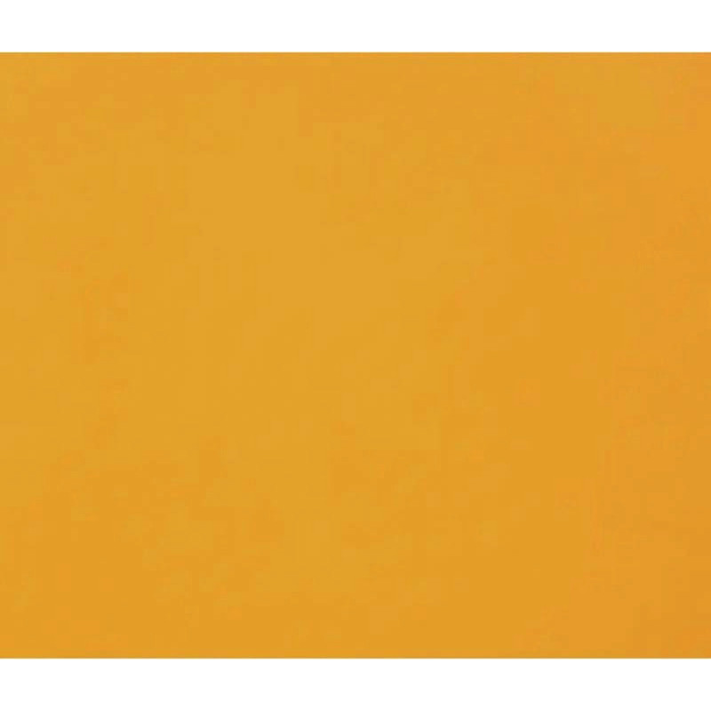 3329689601733 - 1F PAPIER DESSIN ORANGE 50X65CM 160G